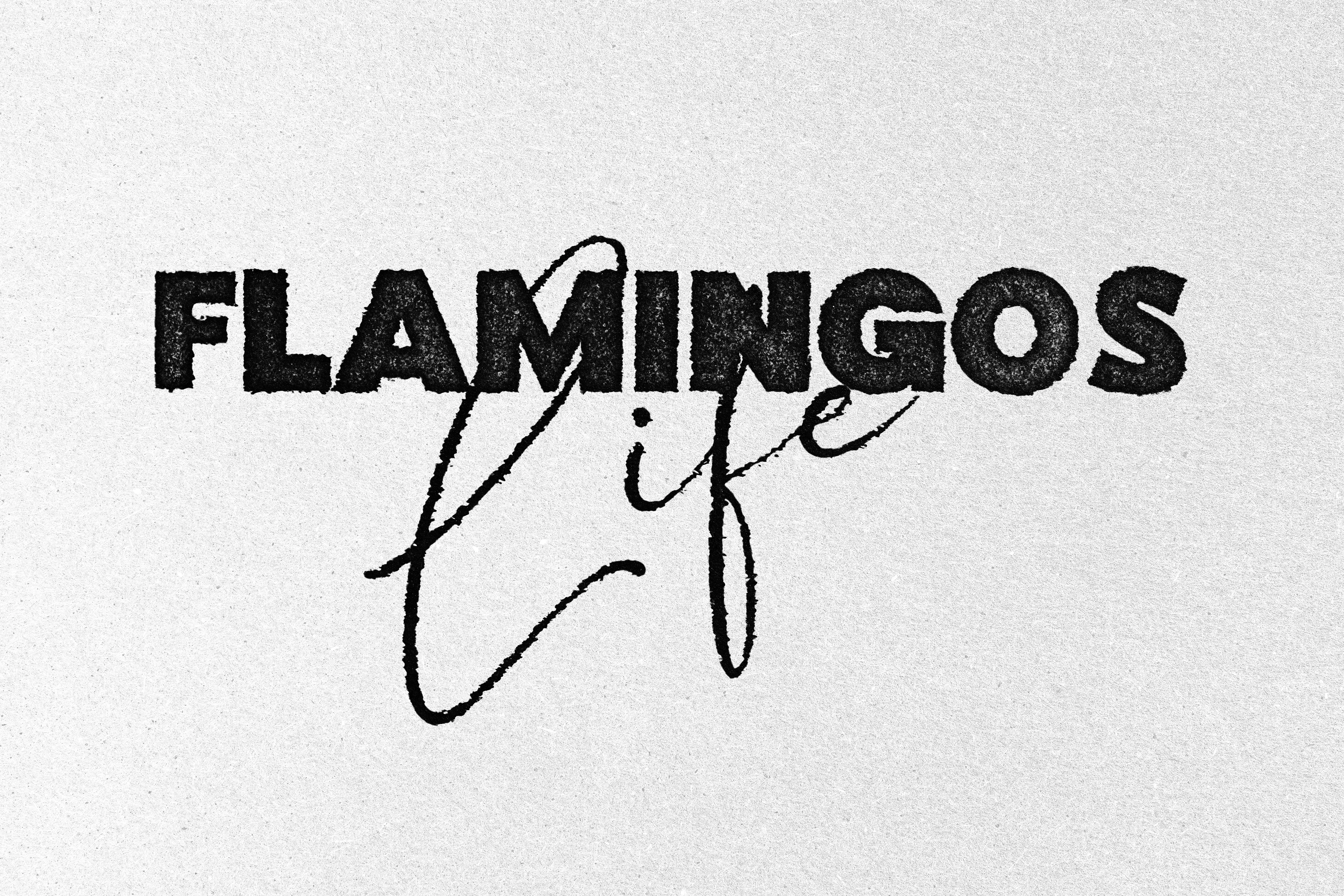 Mockup Flamingos Life 1